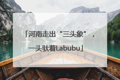 河南走出“三头象”，一头驮着Labubu