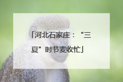 河北石家庄：“三夏”时节麦收忙