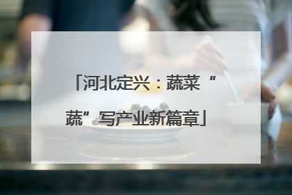 河北定兴：蔬菜“蔬”写产业新篇章