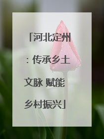 河北定州：传承乡土文脉 赋能乡村振兴
