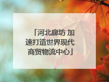 河北廊坊 加速打造世界现代商贸物流中心