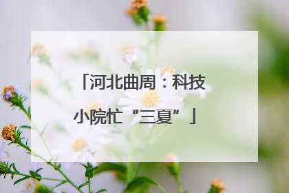 河北曲周：科技小院忙“三夏”