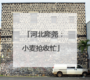 河北隆尧：小麦抢收忙
