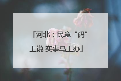河北：民意“码”上说 实事马上办