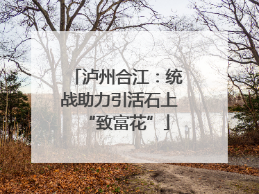 泸州合江：统战助力引活石上“致富花”