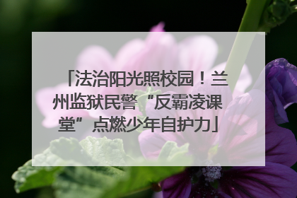 法治阳光照校园！兰州监狱民警“反霸凌课堂”点燃少年自护力
