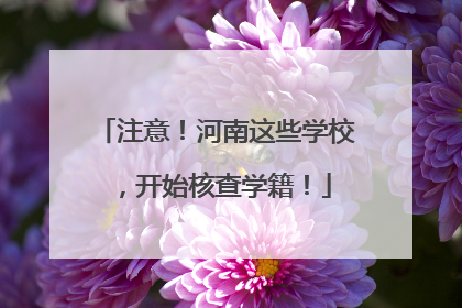 注意！河南这些学校，开始核查学籍！