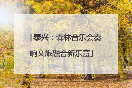 泰兴：森林音乐会奏响文旅融合新乐章