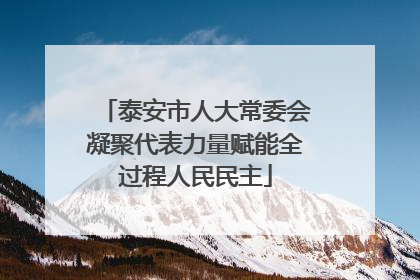 泰安市人大常委会凝聚代表力量赋能全过程人民民主