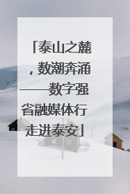 泰山之麓，数潮奔涌——数字强省融媒体行走进泰安