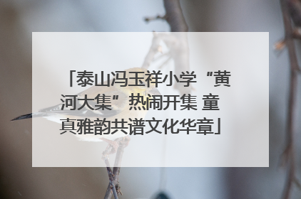 泰山冯玉祥小学“黄河大集”热闹开集 童真雅韵共谱文化华章