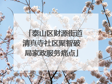 泰山区财源街道清真寺社区聚智破局家政服务痛点