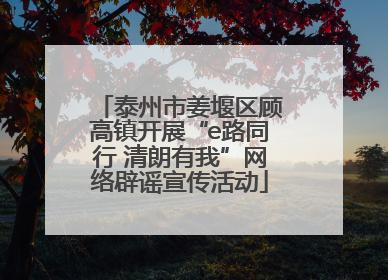 泰州市姜堰区顾高镇开展“e路同行 清朗有我”网络辟谣宣传活动