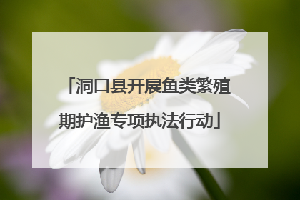 洞口县开展鱼类繁殖期护渔专项执法行动