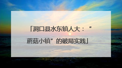 洞口县水东镇人大：“蘑菇小镇”的破局实践