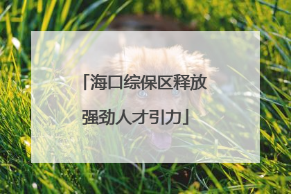 海口综保区释放强劲人才引力