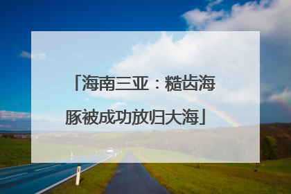 海南三亚：糙齿海豚被成功放归大海