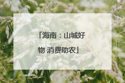 海南：山城好物 消费助农