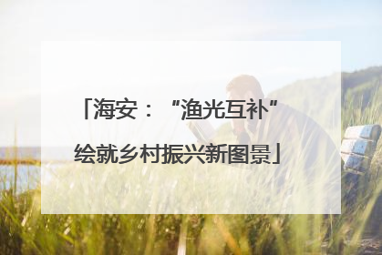 海安：“渔光互补” 绘就乡村振兴新图景