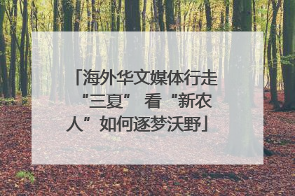 海外华文媒体行走“三夏” 看“新农人”如何逐梦沃野