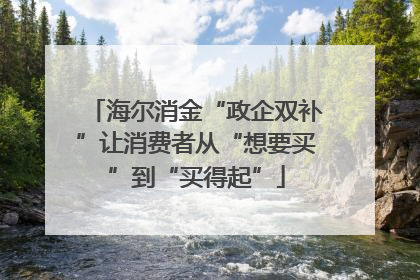 海尔消金“政企双补”让消费者从“想要买”到“买得起”