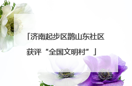 济南起步区鹊山东社区获评“全国文明村”