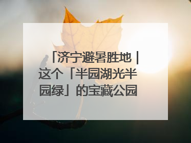 济宁避暑胜地｜这个「半园湖光半园绿」的宝藏公园藏不住了！