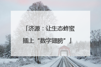 济源：让生态蜂蜜插上“数字翅膀”