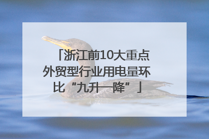 浙江前10大重点外贸型行业用电量环比“九升一降”