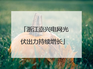 浙江嘉兴电网光伏出力持续增长