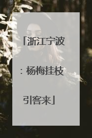 浙江宁波：杨梅挂枝引客来