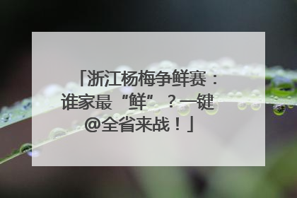 浙江杨梅争鲜赛：谁家最“鲜”？一键@全省来战！