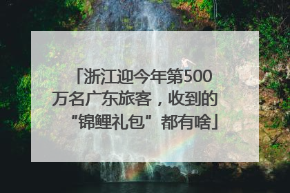 浙江迎今年第500万名广东旅客，收到的“锦鲤礼包”都有啥