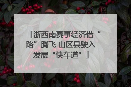 浙西南赛事经济借“路”腾飞 山区县驶入发展“快车道”