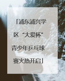 浦东浦兴学区“大爱杯”青少年乒乓球赛火热开启