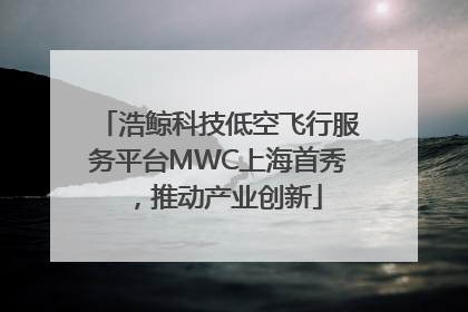 浩鲸科技低空飞行服务平台MWC上海首秀，推动产业创新