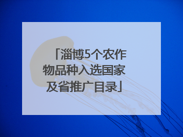 淄博5个农作物品种入选国家及省推广目录