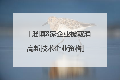 淄博8家企业被取消高新技术企业资格