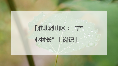 淮北烈山区：“产业村长”上岗记