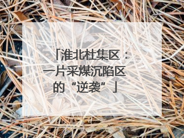淮北杜集区：一片采煤沉陷区的“逆袭”