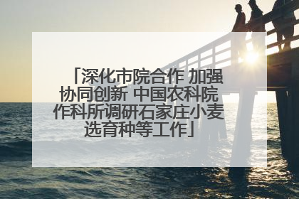 深化市院合作 加强协同创新 中国农科院作科所调研石家庄小麦选育种等工作