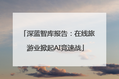 深蓝智库报告：在线旅游业掀起AI竞速战