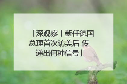 深观察丨新任德国总理首次访美后 传递出何种信号