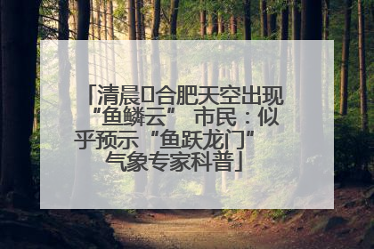 清晨﻿合肥天空出现“鱼鳞云” 市民：似乎预示“鱼跃龙门” 气象专家科普
