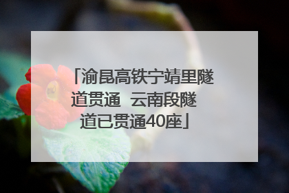 渝昆高铁宁靖里隧道贯通  云南段隧道已贯通40座