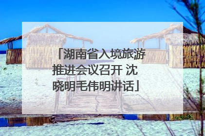 湖南省入境旅游推进会议召开 沈晓明毛伟明讲话