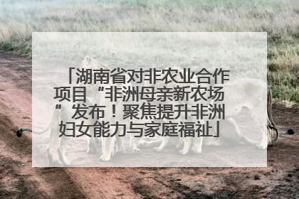湖南省对非农业合作项目“非洲母亲新农场”发布！聚焦提升非洲妇女能力与家庭福祉