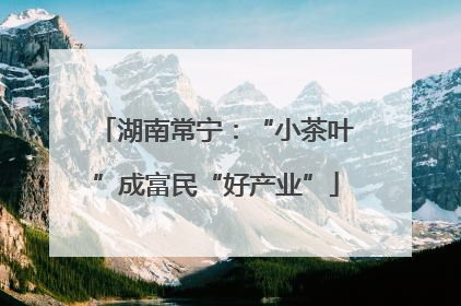 湖南常宁：“小茶叶”成富民“好产业”