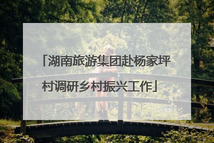 湖南旅游集团赴杨家坪村调研乡村振兴工作