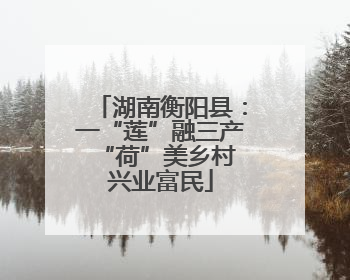 湖南衡阳县：一“莲”融三产 “荷”美乡村兴业富民